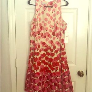 NWT Maggy London Dress - Size 14